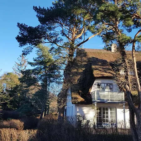 Apartment Achtern Diek 4b Fw 3 *